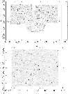 \begin{figure}
\par\includegraphics[width=6cm,angle=270,clip]{0458_f1a.ps} \includegraphics[width=6cm,angle=270,clip]{0458_f1b.ps}
\end{figure}