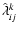 $\hat\lambda^k_{ij}$
