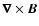 $\vec{\nabla}\times \vec{B}$