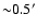 ${\sim}0.5'$