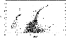 \begin{figure}
\par\includegraphics[width=8.5cm,clip]{star2.eps}\end{figure}