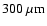 $300~{\rm\mu m}$