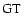 $ \rm GT~$
