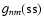 $g_{nm}({\rm ss})$