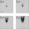 \begin{figure}
\par\includegraphics[width=8.8cm,clip]{0318fi01.eps}\end{figure}