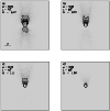 \begin{figure}
\par\includegraphics[width=8.8cm,clip]{0318fi02.eps}\end{figure}