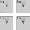 \begin{figure}
\par\includegraphics[width=8.8cm,clip]{0318fi06.eps}\end{figure}