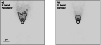 \begin{figure}
\par\includegraphics[width=8.8cm,clip]{0318fi07.eps}\end{figure}
