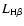 $L_{\rm H\beta}$