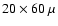 $20 \times 60~\mu$