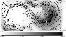 \begin{figure}
\par\includegraphics[width=8.4cm,clip]{nagae-fig5.eps}
\end{figure}