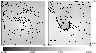 \begin{figure}
\par\includegraphics[width=8.4cm,clip]{nagae-fig6.eps}
\end{figure}