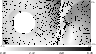 \begin{figure}
\par\includegraphics[width=8.4cm,clip]{nagae-fig8.eps}
\end{figure}