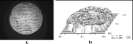 \begin{figure}
\par\includegraphics[width=17cm,clip]{0474fig1.eps}
\end{figure}