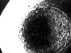 \begin{figure}
\par\includegraphics[width=8.8cm,clip]{0474fig3.eps}
\end{figure}