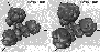 \begin{figure}
\par\includegraphics[width=7.9cm,clip]{Gc172_f2.eps}
\end{figure}