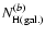 $N^{{(b)}}_{\rm H(gal.)}$