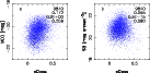 \begin{figure}
\par\includegraphics[width=12cm,clip]{ms3793.f5}\end{figure}