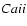 $Ca {\sc ii}$