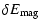 $\displaystyle \delta E_{\rm mag}$