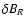 $\delta B_R$