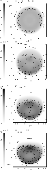 \begin{figure}
\par {\includegraphics[angle=-90,width=6.1cm,clip]{0546fig50.ps} ...
...4mm}
{\includegraphics[angle=-90,width=6.1cm,clip]{0546fig53.ps} }\end{figure}