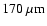 $170~\mu {\rm m}$