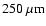 $250~\mu {\rm m}$