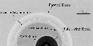 \begin{figure}
\par\includegraphics[width=11.5cm,clip]{aa0700f5.eps}\end{figure}