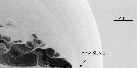 \begin{figure}
\par\includegraphics[width=12cm,clip]{aa0700f8.eps}\end{figure}