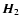 $\vec{H}_2$