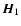 $\vec{H}_1$