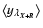 $\left<y_{\lambda_{\vec{X}+\vec{R}}}\right>$