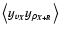 $\left<y_{v_{\vec{X}}} y_{\rho_{\vec{X}+\vec{R}}} \right>$