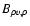 $B_{\rho v,\rho}$