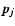 $\vec{p_j}$