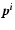 $\vec{p^i}$