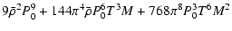 $\displaystyle 9\bar{\rho}^2P_0^9+144\pi^4\bar{\rho}P_0^6T^3M+768\pi^8P_0^3T^6M^2$