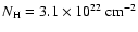 $N_{\rm H}=3.1 \times 10^{22}~{\rm cm^{-2}}$