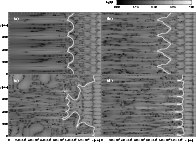 \begin{figure}
\par\includegraphics[width=17.1cm,clip]{0778fig5.eps}
\end{figure}