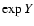 $\exp Y$