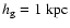 $h_{\rm g}=1~{\rm kpc}$