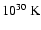 $10^{30}\:\rm K$