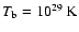 $T_{{\rm b}} = 10^{29}\:\mbox{K}$