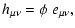 $\displaystyle h_{\mu \nu} = \phi ~ e_{\mu \nu},$