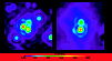 \begin{figure}
\par\includegraphics[width=8.8cm,clip]{0147fig3.eps}
\end{figure}