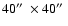 $40\hbox{$^{\prime\prime}$ }\times 40\hbox{$^{\prime\prime}$ }$