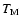$T_{{\rm M}}$
