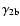 $\gamma_{2{\rm b}}$