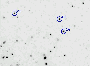 \begin{figure}
\par\includegraphics[width=7.9cm,clip]{1014fig4.ps}\end{figure}
